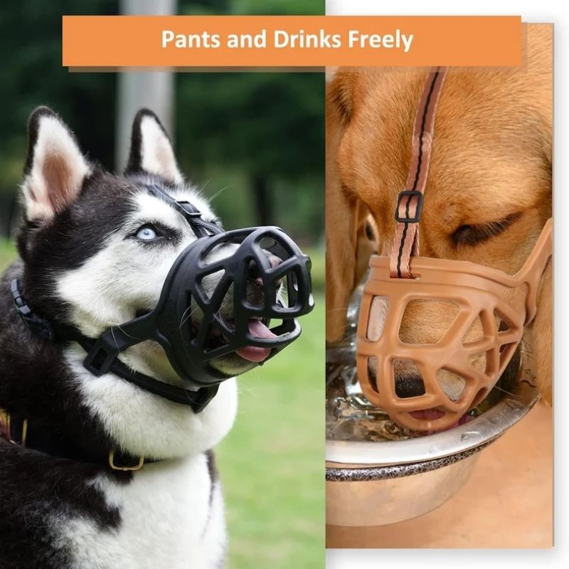 Open Basket Dog Muzzle with Adjustable Straps and Training Guide