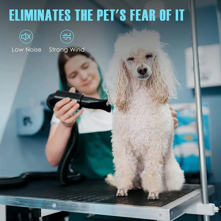 High Velocity Dog Grooming Dryer with Adjustable Heat and Extended Flexible Hose