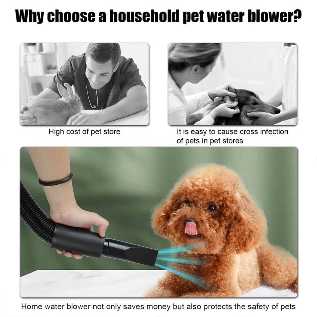 High Velocity Dog Grooming Dryer with Adjustable Heat and Extended Flexible Hose