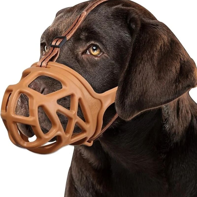 Open Basket Dog Muzzle with Adjustable Straps and Training Guide