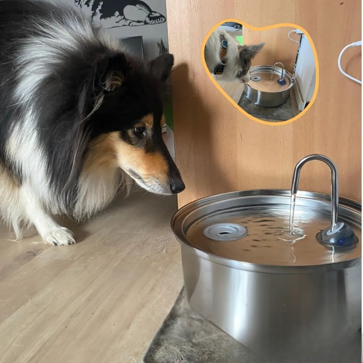 Automatic Pet Water Fountain with Stainless Steel Bowl and Circulation Pump, 8 Liter