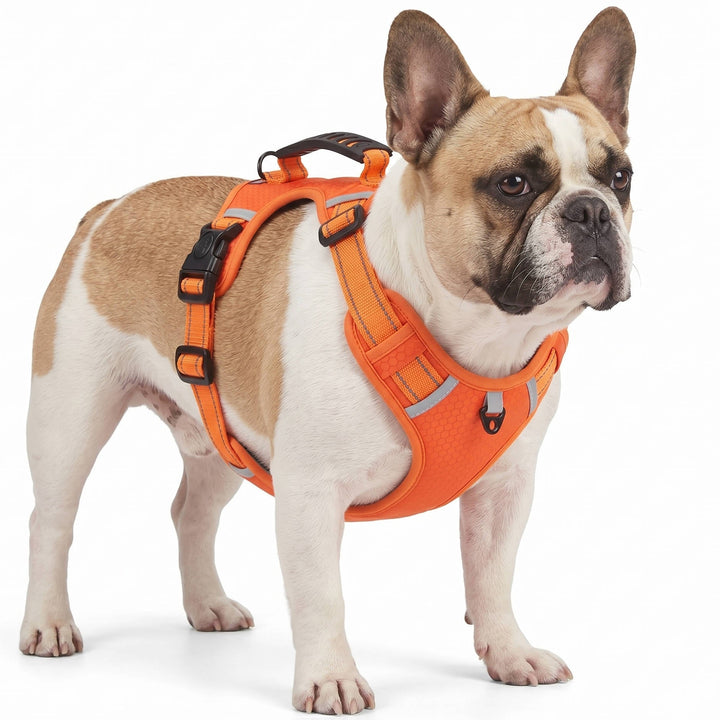 Adjustable Reflective No Pull Dog Harness, Breathable Mesh Saddle Harness for Small to Medium Dogs and Cats