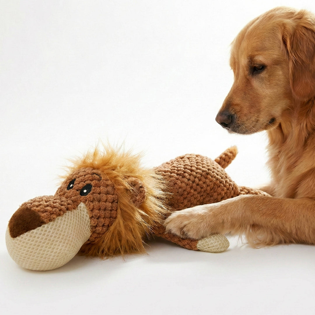 Dog Chew Toy with Reinforced Stitching