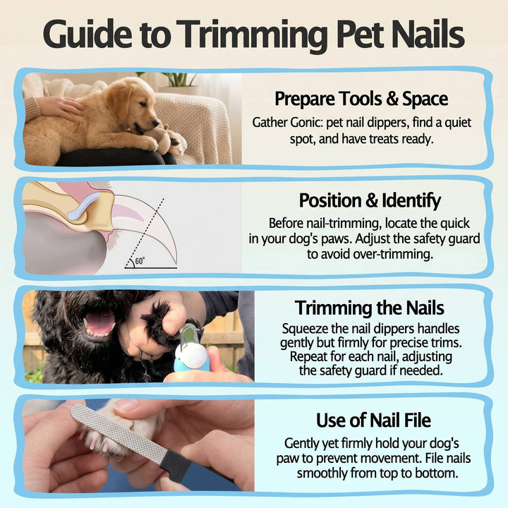 Pet Nail Clippers for Dogs and Cats – Stainless Steel Blades with Safety Guard, Non-Slip Handle and Built-In Nail File