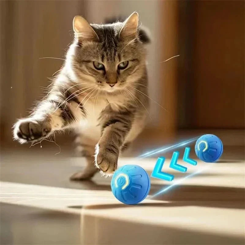 Automatic Moving Dog Ball with Rubber Exterior and 180-Minute Runtime