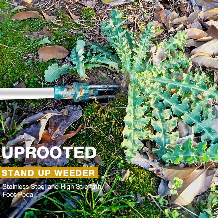 Standing Weed Puller with Triple Steel Claws and Foot Pedal Leverage
