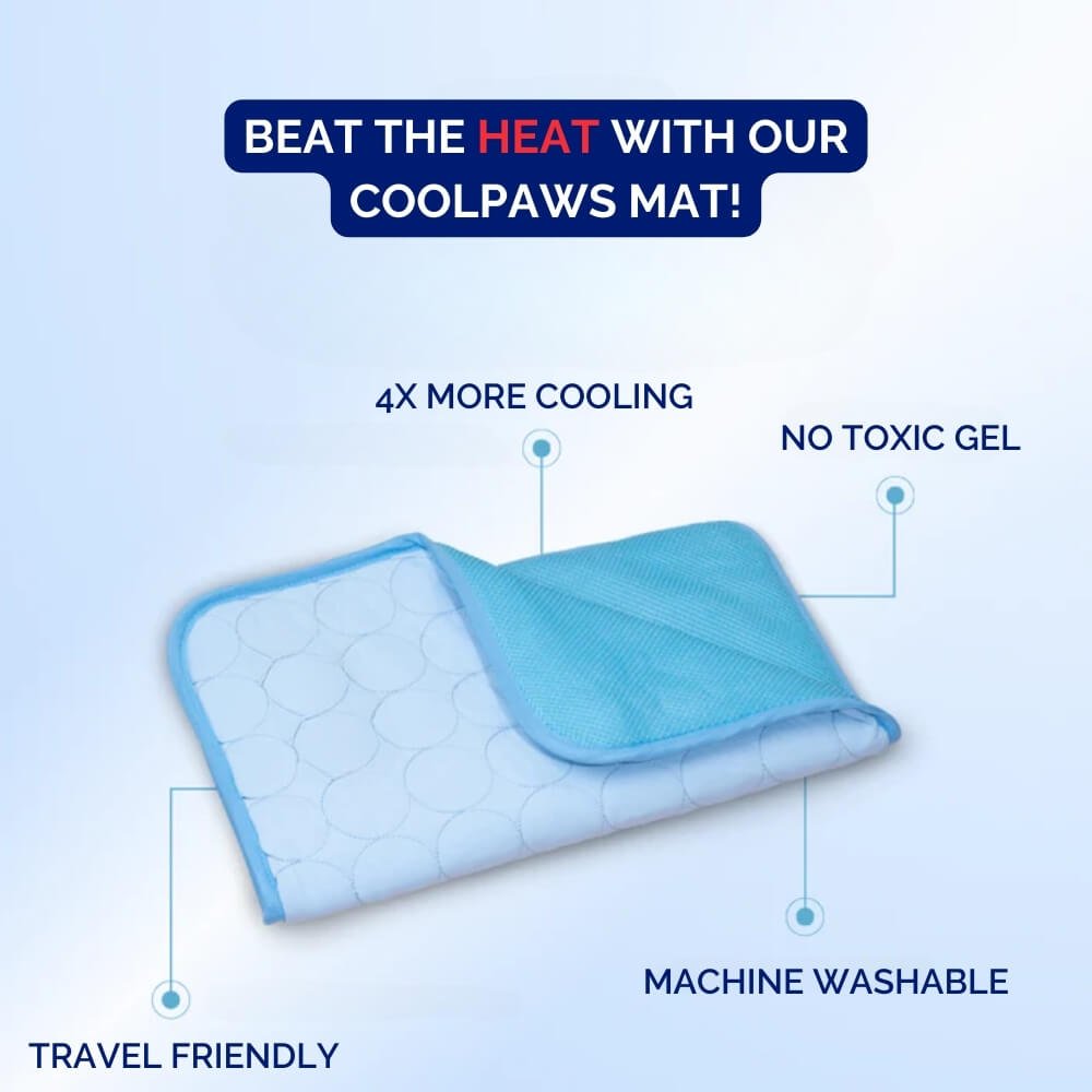 Pressure Activated Cooling Mat for Dogs with Self Recharging Gel, Foldable Design