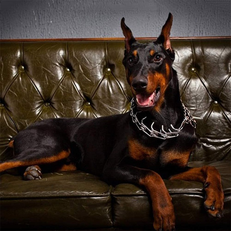 Metal Training Collar with Rubber-Tipped Links and Adjustable Fit
