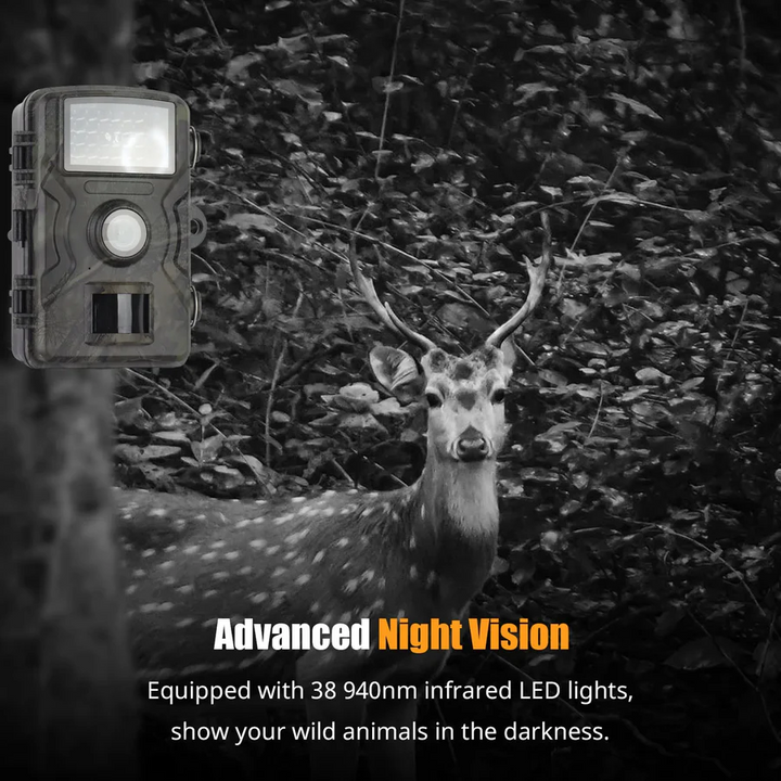 1080P Night Vision Trail Camera with Motion Detection
