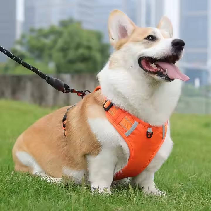 Adjustable Reflective No Pull Dog Harness, Breathable Mesh Saddle Harness for Small to Medium Dogs and Cats