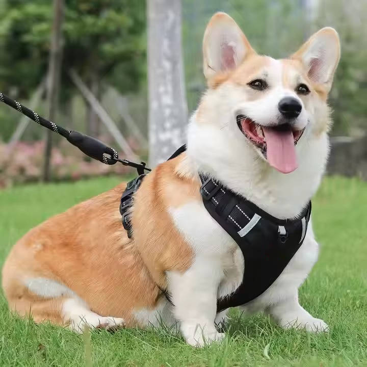 Adjustable Reflective No Pull Dog Harness, Breathable Mesh Saddle Harness for Small to Medium Dogs and Cats