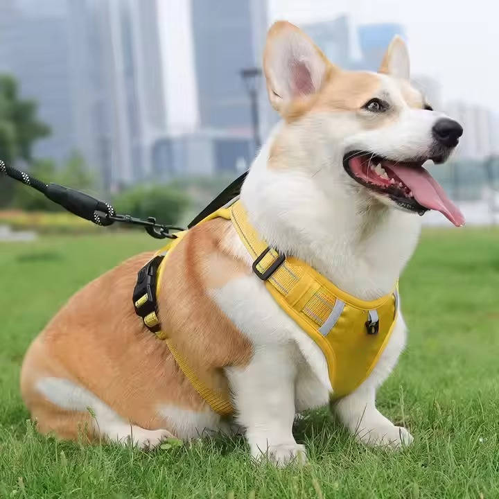 Adjustable Reflective No Pull Dog Harness, Breathable Mesh Saddle Harness for Small to Medium Dogs and Cats