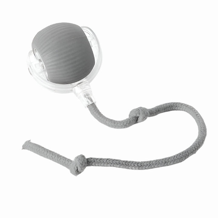 Active Rolling Ball with Tail for Dogs