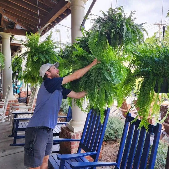 Artificial Boston Fern – UV-Resistant Hanging Plant for Outdoor Décor