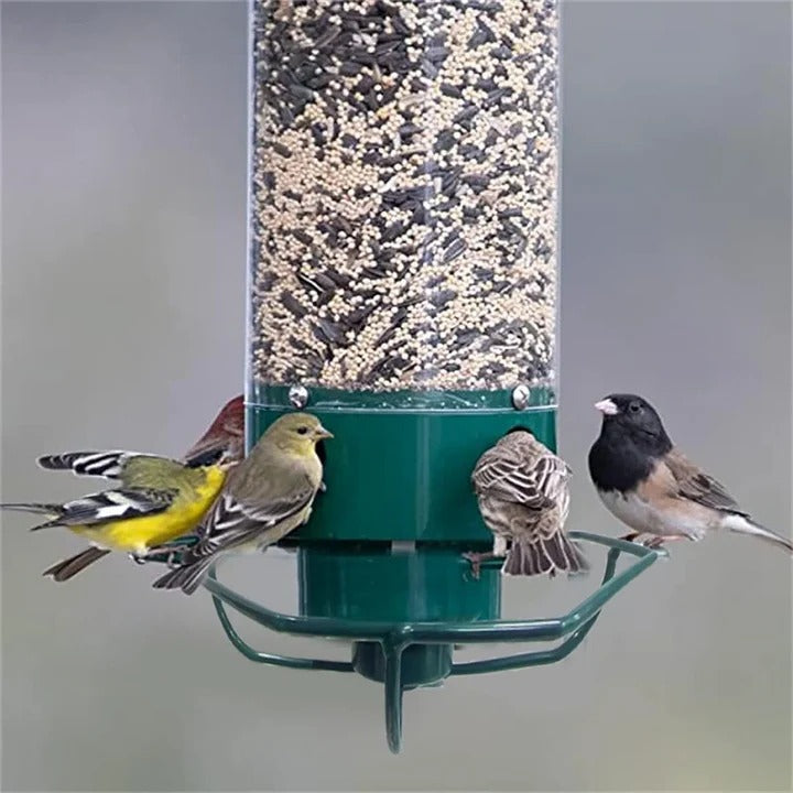 Durable Metal Bird Feeder with Cage Design to Deter Squirrels