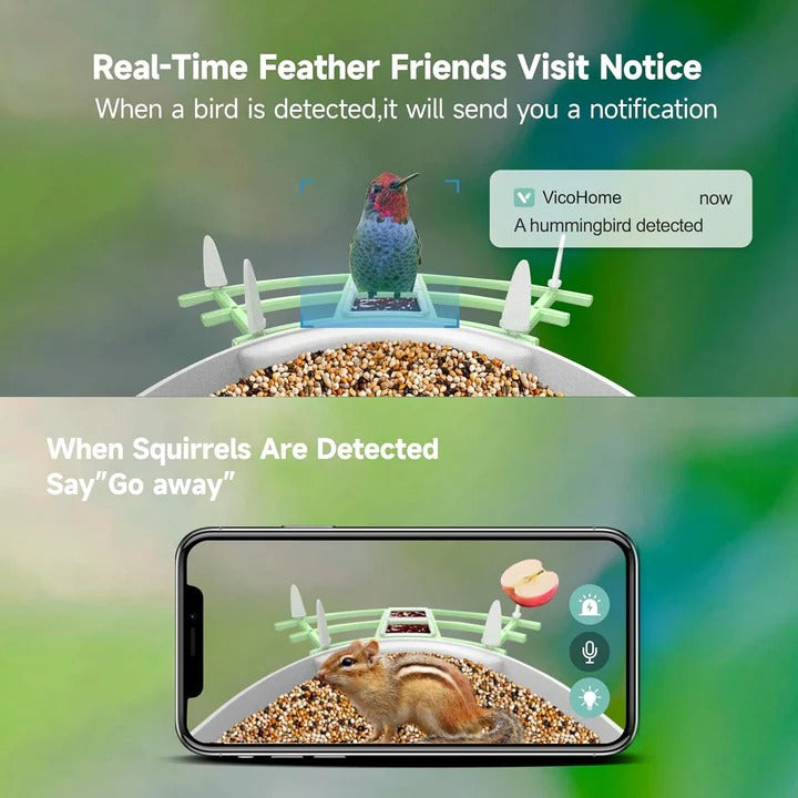 Solar Powered Smart Bird Feeder With WiFi Connectivity
