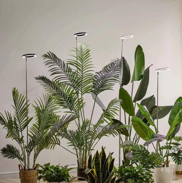 LED Grow Light for Indoor Plants with Automatic Timer