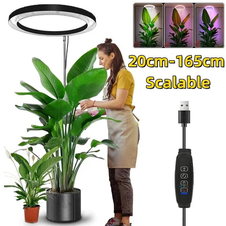 LED Grow Light for Indoor Plants with Automatic Timer