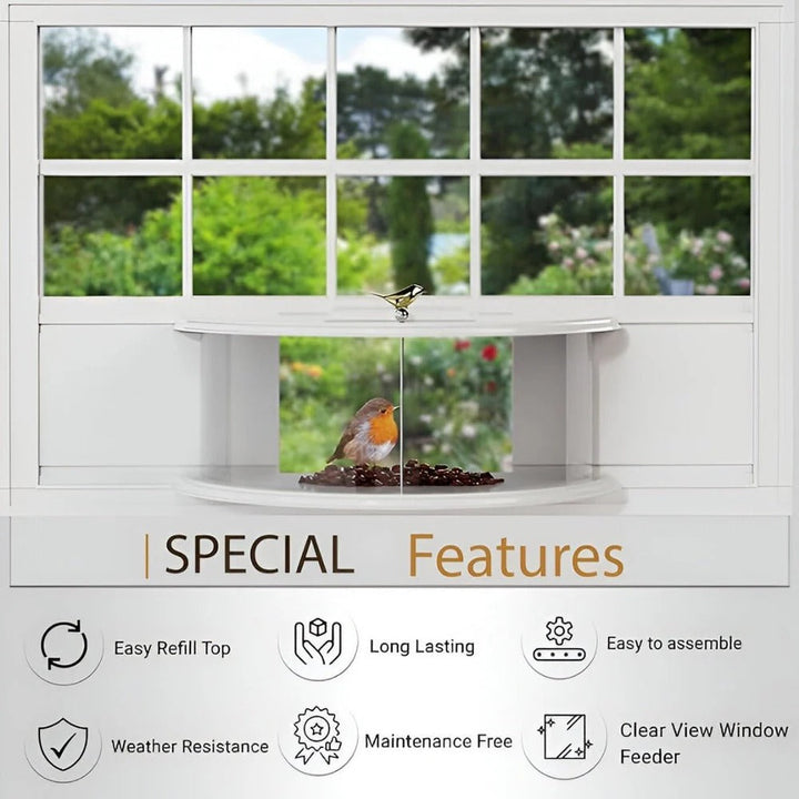 Panoramic View Window Bird Feeder with Wide Angle Visibility