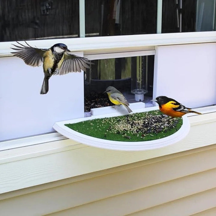 Panoramic View Window Bird Feeder with Wide Angle Visibility