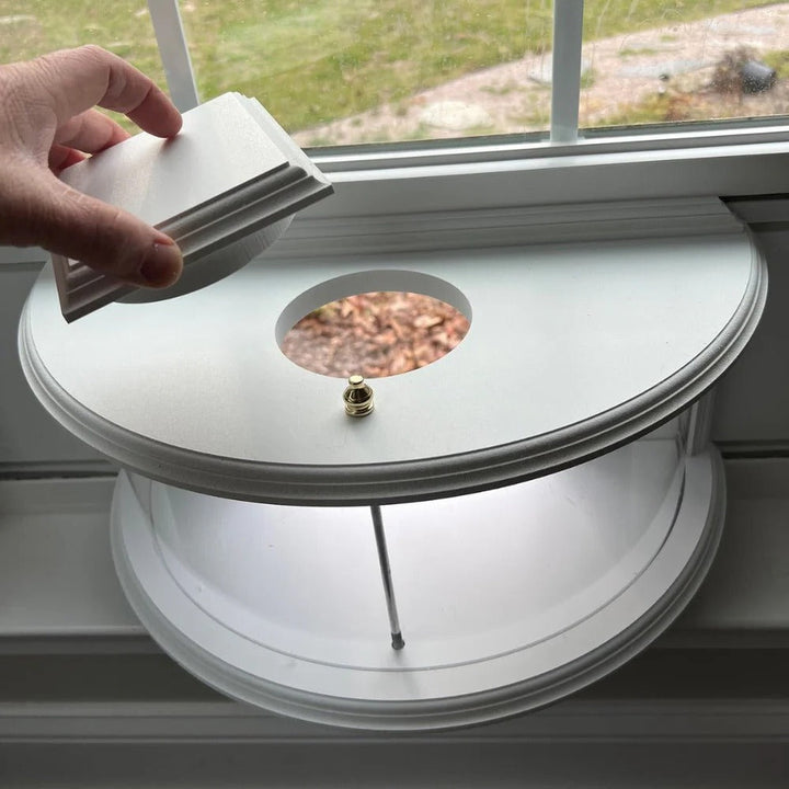 Panoramic View Window Bird Feeder with Wide Angle Visibility