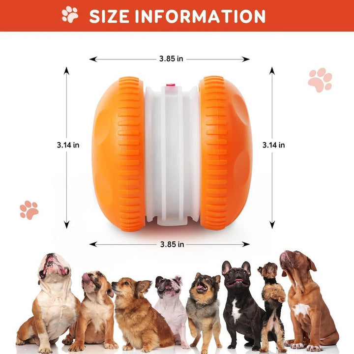 Automatic Rolling Dog Ball Toy with Rope, 2 Piece Interactive Set