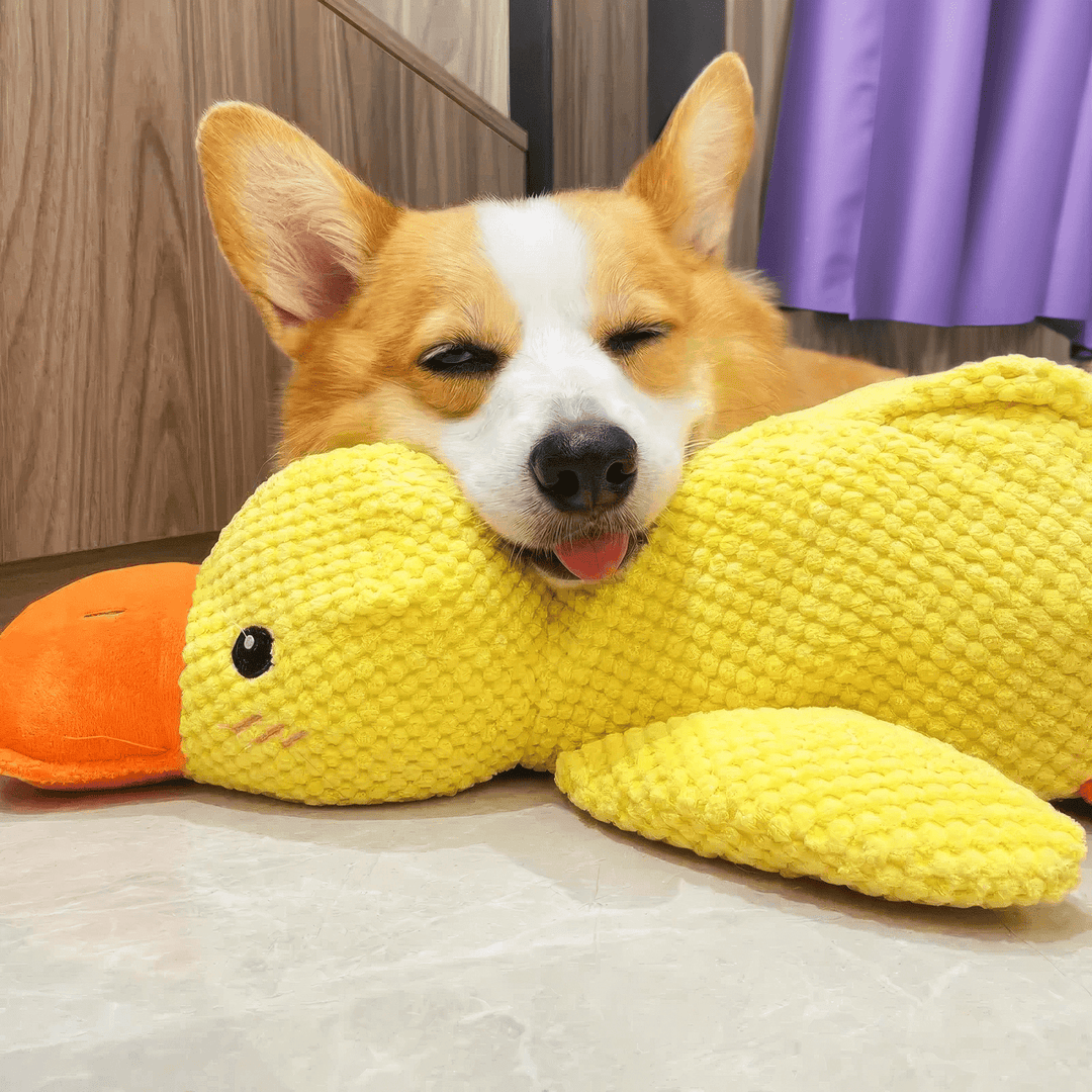 Calming Durable Duck