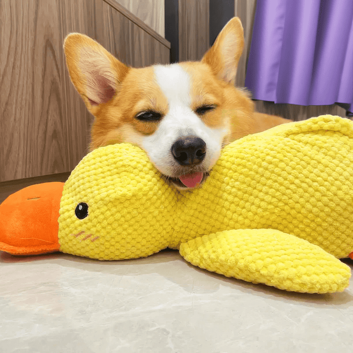 Calming Durable Duck