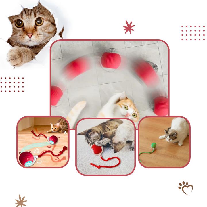 Interactive Cat Ball Toy with Motion Sensors and Three Speed Settings