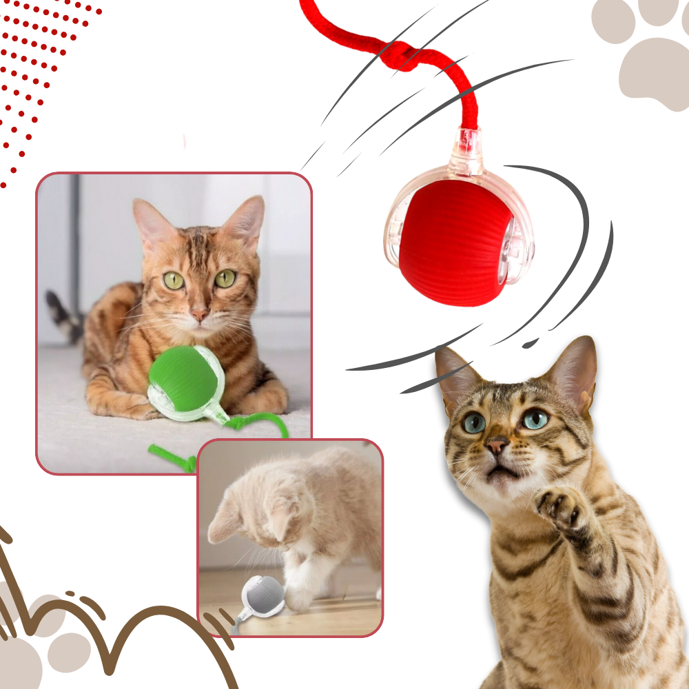 Interactive Cat Ball Toy with Motion Sensors and Three Speed Settings