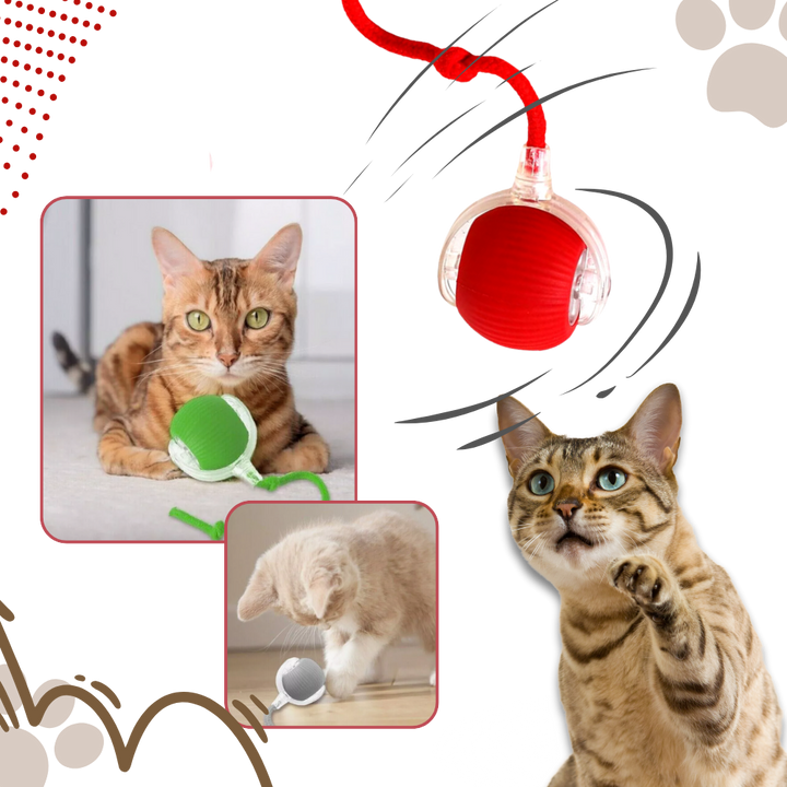 Interactive Cat Ball Toy with Motion Sensors and Three Speed Settings