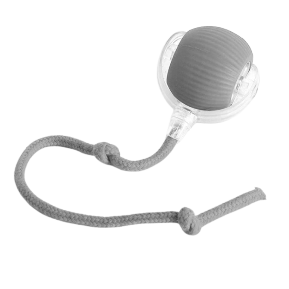 Interactive Cat Ball Toy with Motion Sensors and Three Speed Settings