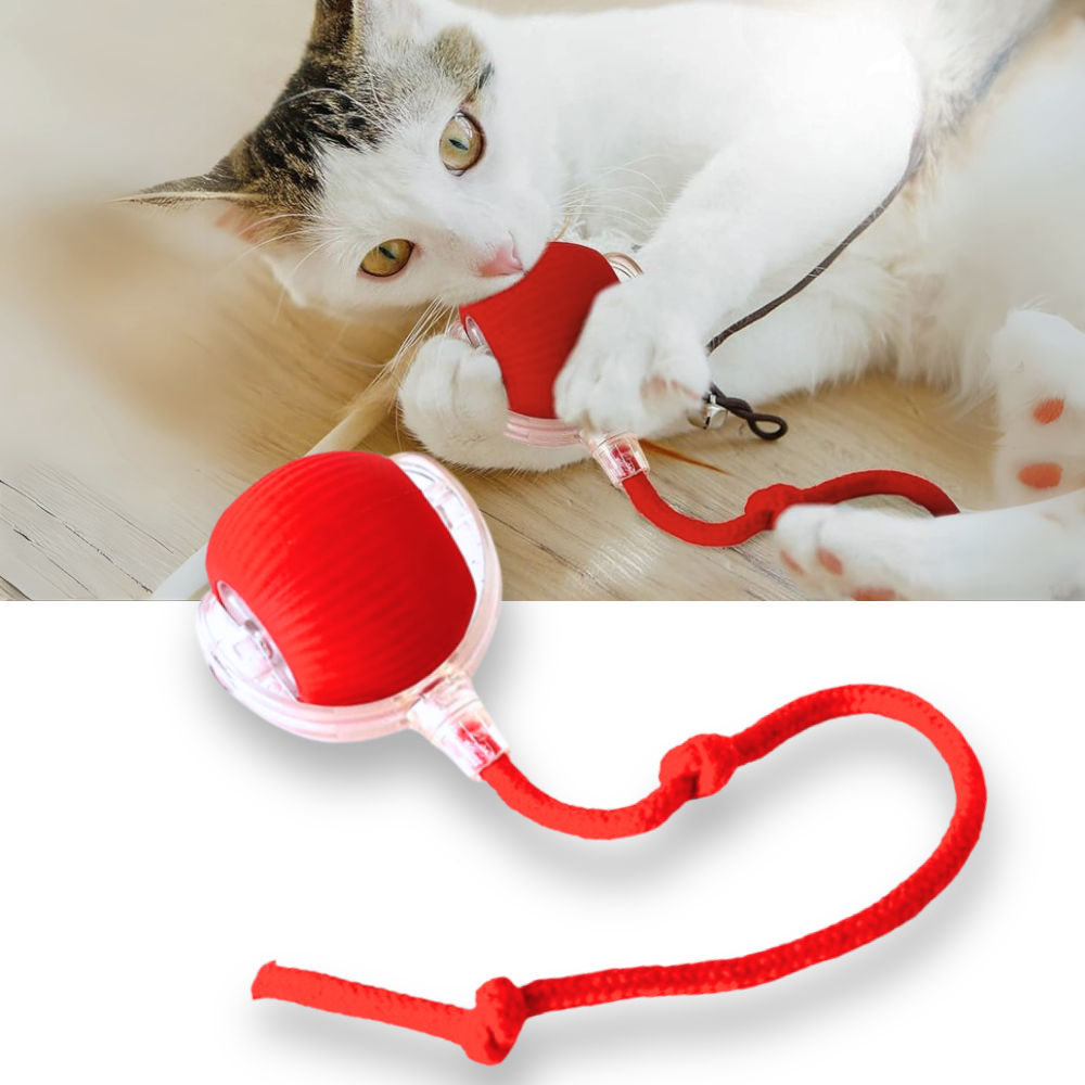 Interactive Cat Ball Toy with Motion Sensors and Three Speed Settings