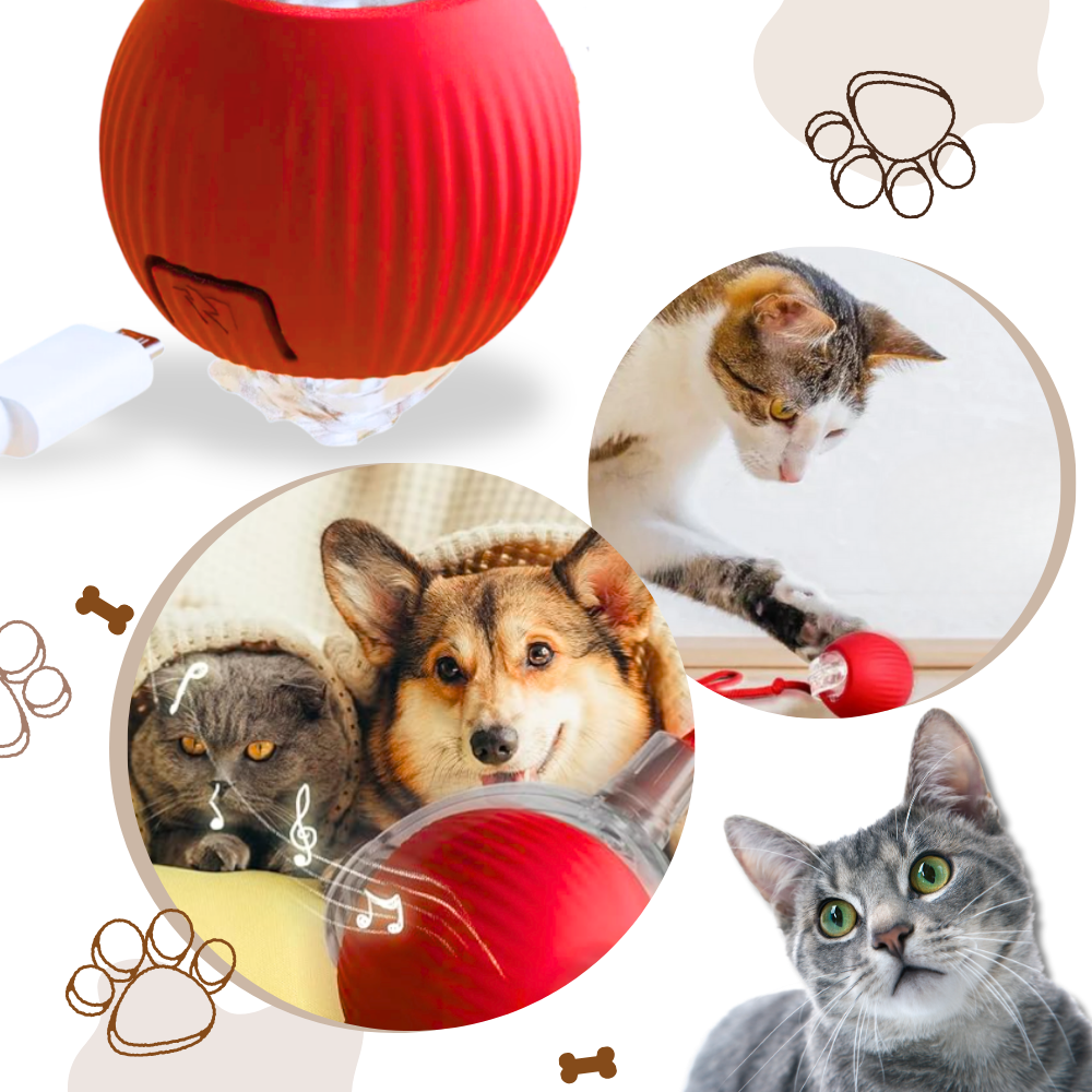 Interactive Cat Ball Toy with Motion Sensors and Three Speed Settings