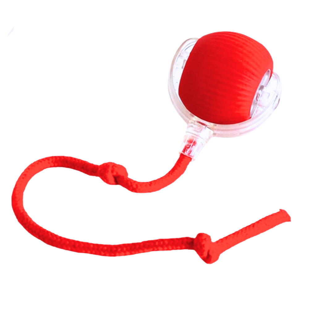 Interactive Cat Ball Toy with Motion Sensors and Three Speed Settings