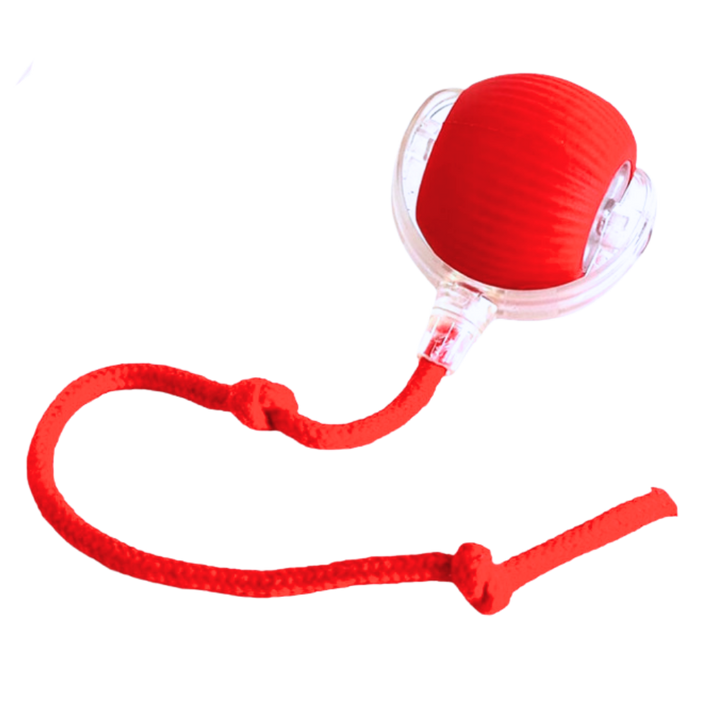 Interactive Cat Ball Toy with Motion Sensors and Three Speed Settings