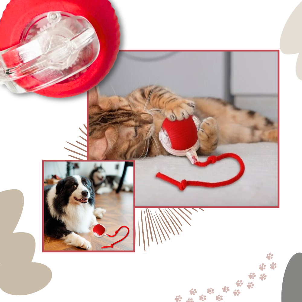 Interactive Cat Ball Toy with Motion Sensors and Three Speed Settings