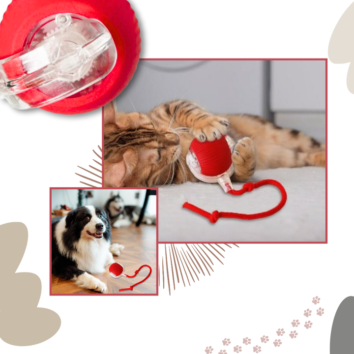 Interactive Cat Ball Toy with Motion Sensors and Three Speed Settings